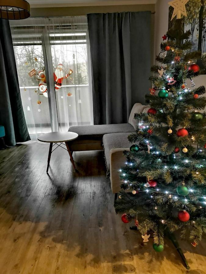 Uroczy Z Garazem Apartment Krakau